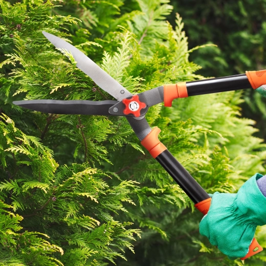 Cisailles à haie avec une longueur de lame de 200 mm