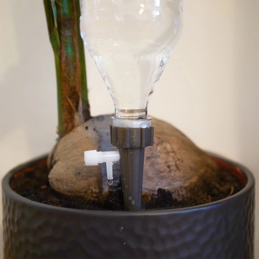 Stabile Verankerung im Blumentopf