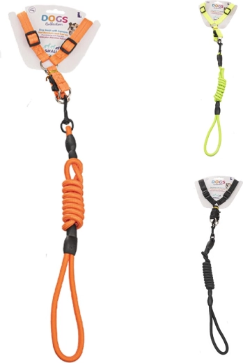 Dog harness with 1.2 m leash (3ASS)