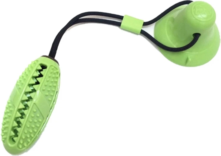 Teeth cleaning and gum massage