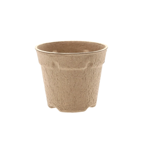 Umpflanzstress vermeiden