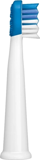 Gründliche Zahnreinigung