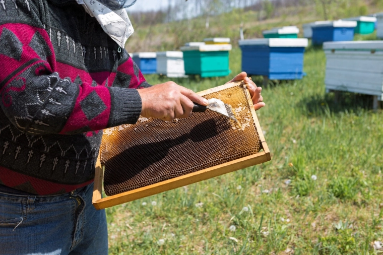 Travail plus rapide au rucher