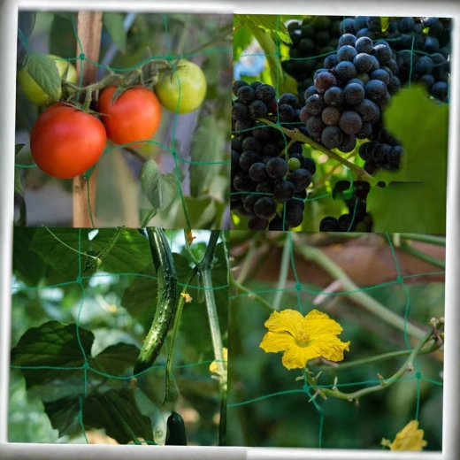 Universeel gebruik in de tuin en kas