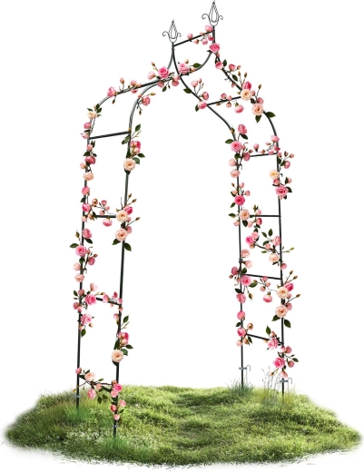 Perfect support for climbing plants