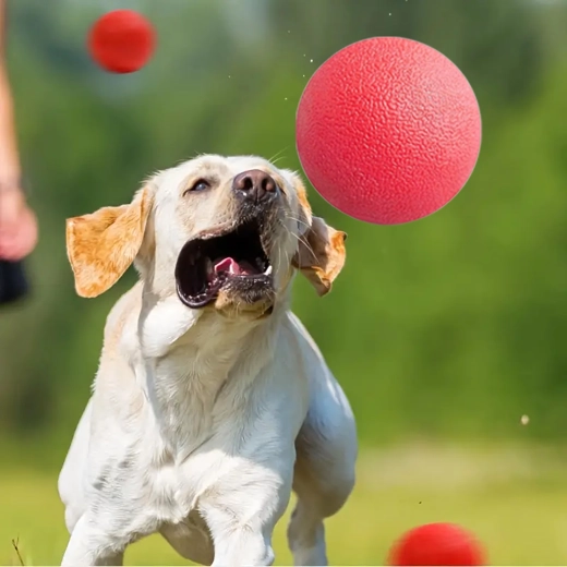 Zacht voor tanden en ondersteunt mondhygiëne