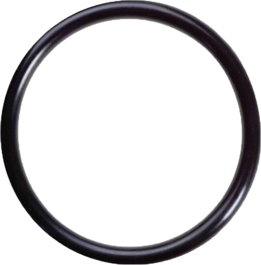 Joint d’étanchéité sous l’embout cannelé de tuyau pour le préfiltre ProStar 4/6
