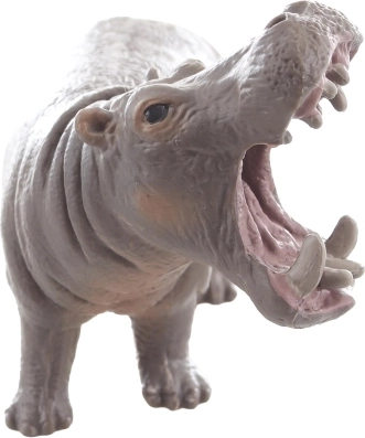 Ideaal om over dieren te leren