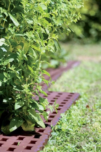Neat edging for beds and paths