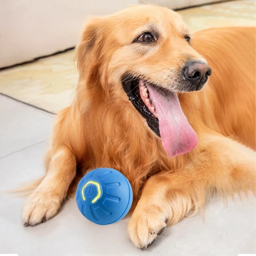 Robustes und sicheres Design für Zähne und Pfoten