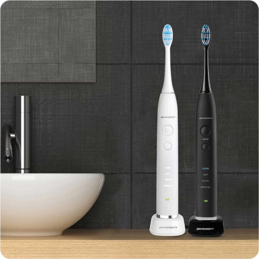 2 brosses dans le lot + bases de recharge