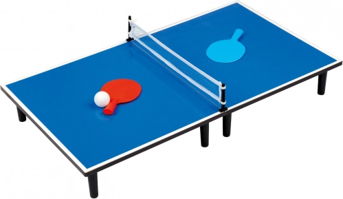 Table Tennis – blue portable medium-size table with accessories