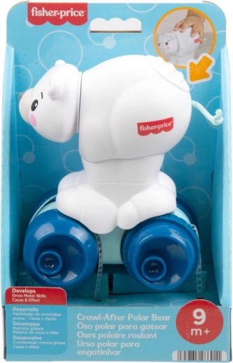 Interaktiver Krabbel-Teddybär von Fisher-Price