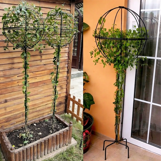 Metallische Gartenstütze für Kletterpflanzen 50 × 10 cm – Schwarz