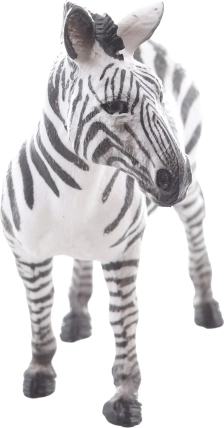 Idéale pour l’enseignement et les collections