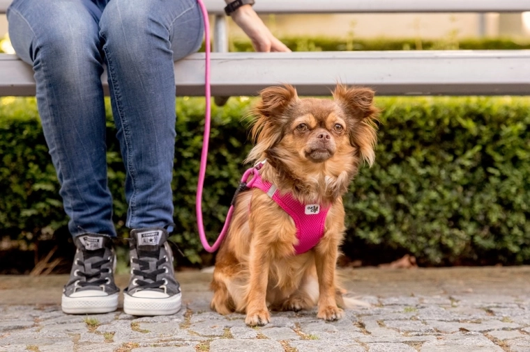 Less jerking for more comfortable walks