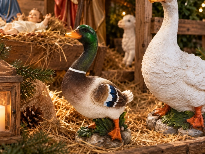 Geschikt voor een kerststal