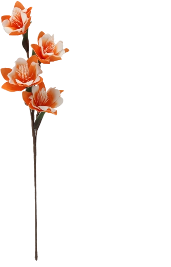 More flowers on one stem