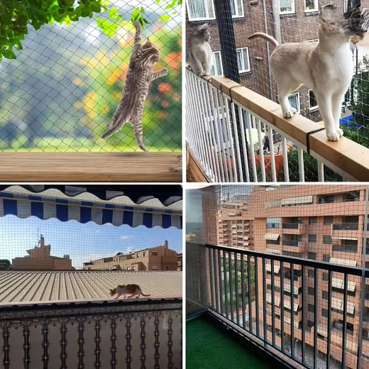 Balcony protection and safety for cats