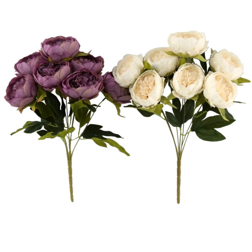 Realistic look of peonies
