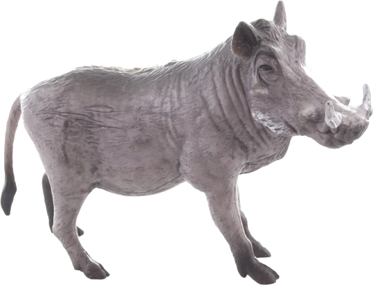 Duurzame constructie voor dagelijks spelen