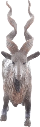 Ideale grootte voor kinderhanden