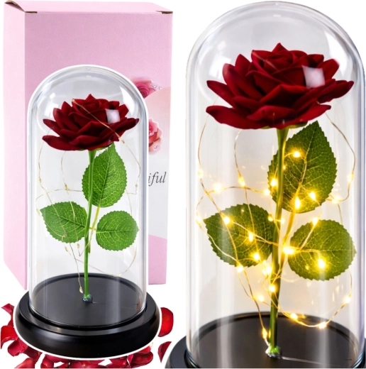 Ewige rote Rose unter einer Glaskuppel mit LED-Beleuchtung