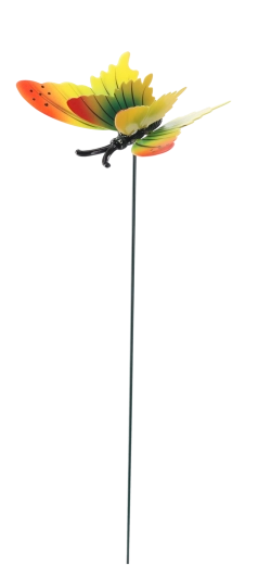 Decoration for outdoor and indoor use