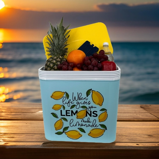 Stylish summer LEMONADE design
