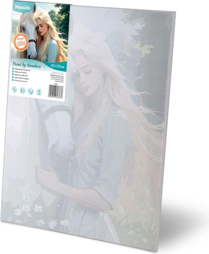 Pre-printed canvas with numbered zones