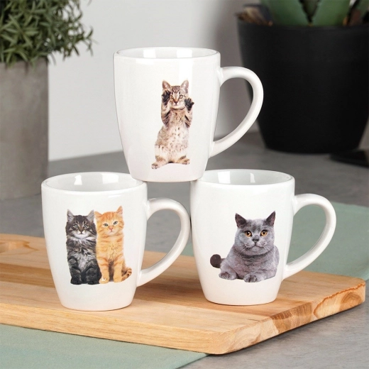Adorables motifs de chats