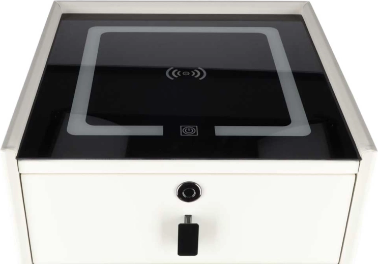Fingerprint lock for secure storage of items