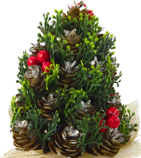 Realistic details of cones and berries