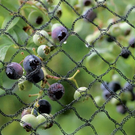 Reliable protection for crops and plants