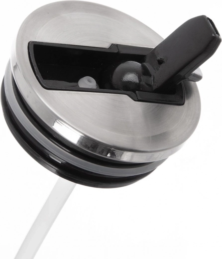 Lid with flip-up spout and straw