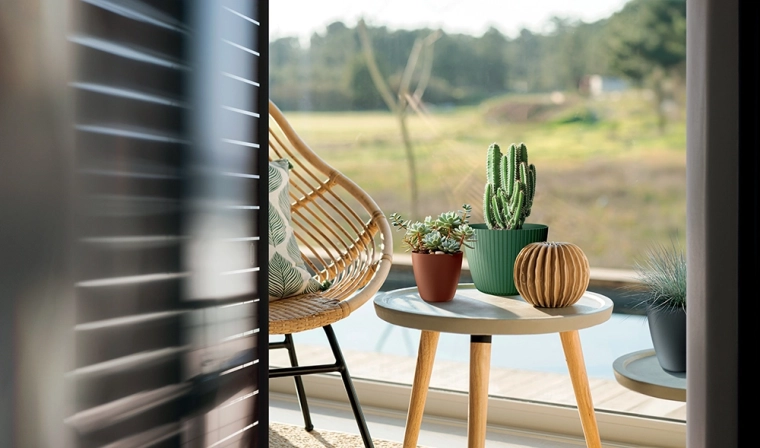 Ideal size for small plants