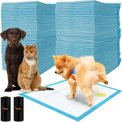 Einweg-Absorptionsauflagen 60x60 cm - 100 Stk Purlov