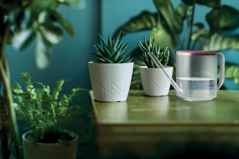 Eenvoudig verplanten en onderhouden