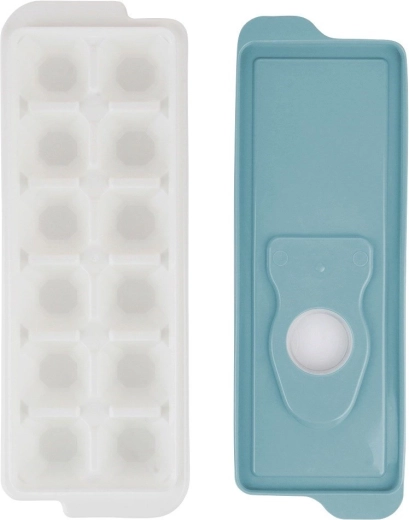 12 ice cubes for any occasion