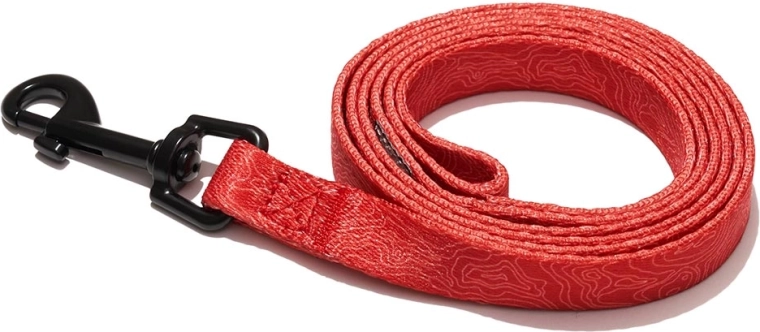 Explorer Dog classmate leash red S 120 × 1.5 cm