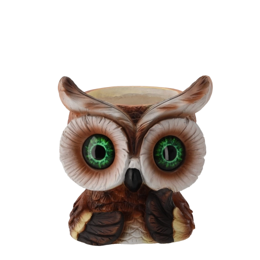 Forme pratique pour petites plantes et herbes aromatiques