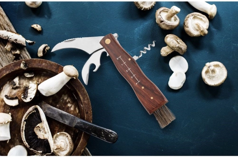 Équipement multifonction pour la nature