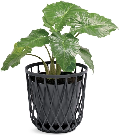 Ook uitstekend als overpot