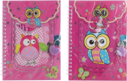 Carnet à clé avec des chouettes