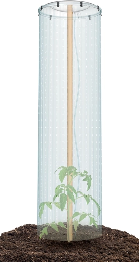 Secure fastening and seedling protection