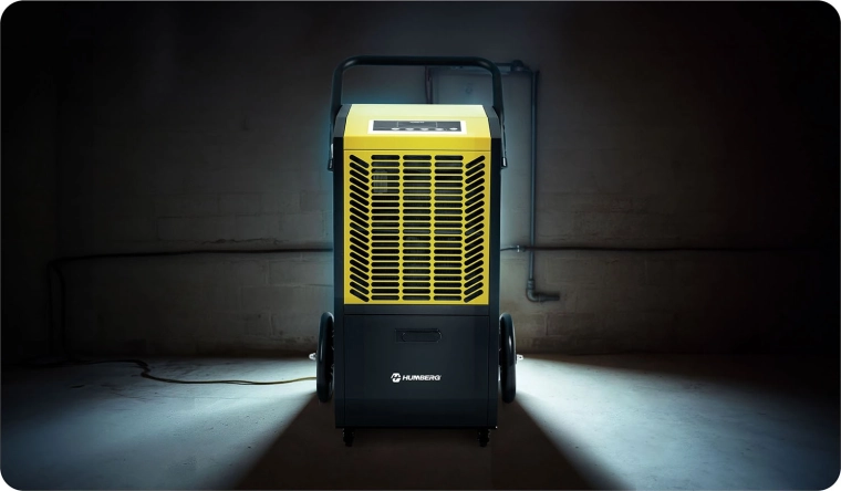 Krachtige capaciteit 50 l/24 u met slimme vochtregeling