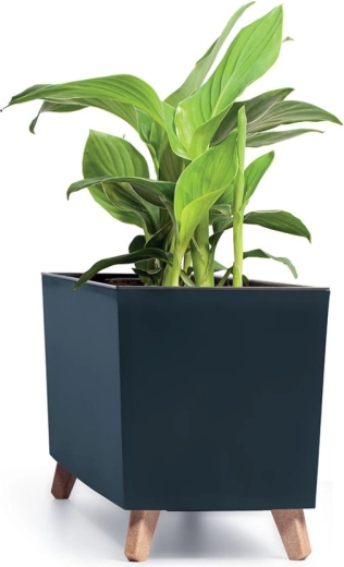 Elegant for indoors and outdoors