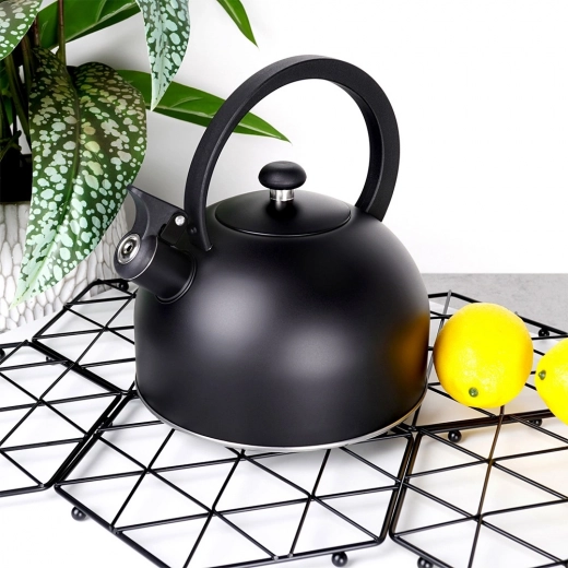 Stylish matte design