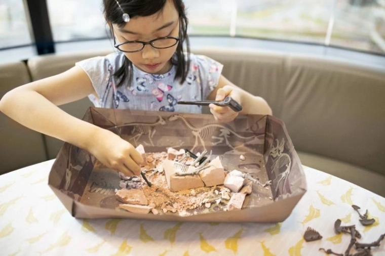 Echtes Ausgrabungserlebnis zu Hause