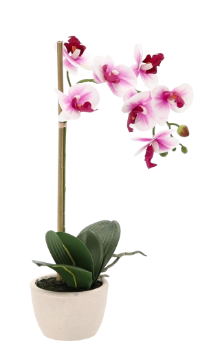 Fleurs et feuilles naturellement réalistes